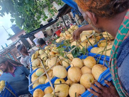 বারি আম-৪ (BARI Mango-4)